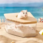 Bac à sable pour Hamster – Image 4