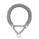 Collier en chaîne pour chien