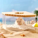 Bac à sable pour Hamster
