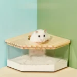 Bac à sable pour Hamster – Image 5