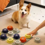 Buzzer interactif pour chien