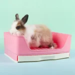 Litière anti-éclaboussures pour lapin