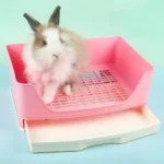 Litière anti-éclaboussures pour lapin – Image 6