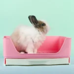 Litière anti-éclaboussures pour lapin – Image 3