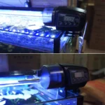 Mangeoire automatique LCD pour Aquarium – Image 4
