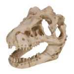 Fossile de dinosaure en résine – Image 6