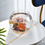 Aquarium Bocal – Image 3