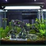 Star Wars AT-AT pour Aquarium – Image 6