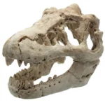 Fossile de dinosaure en résine