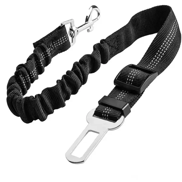 Ceinture de sécurité pour chien