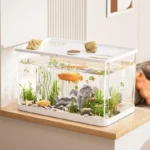 Aquarium écologique pour bureau – Image 2