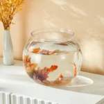 Aquarium Bocal – Image 2
