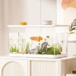Aquarium écologique pour bureau